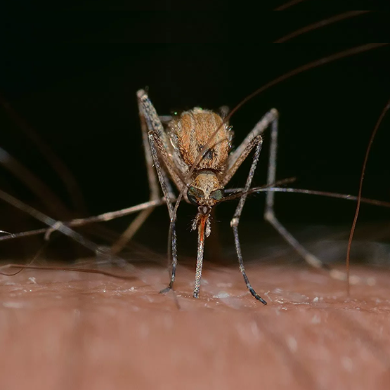 Packaging%20150%20mm%20Vers4%20Amazon%20%28FR%29Vecto2.0